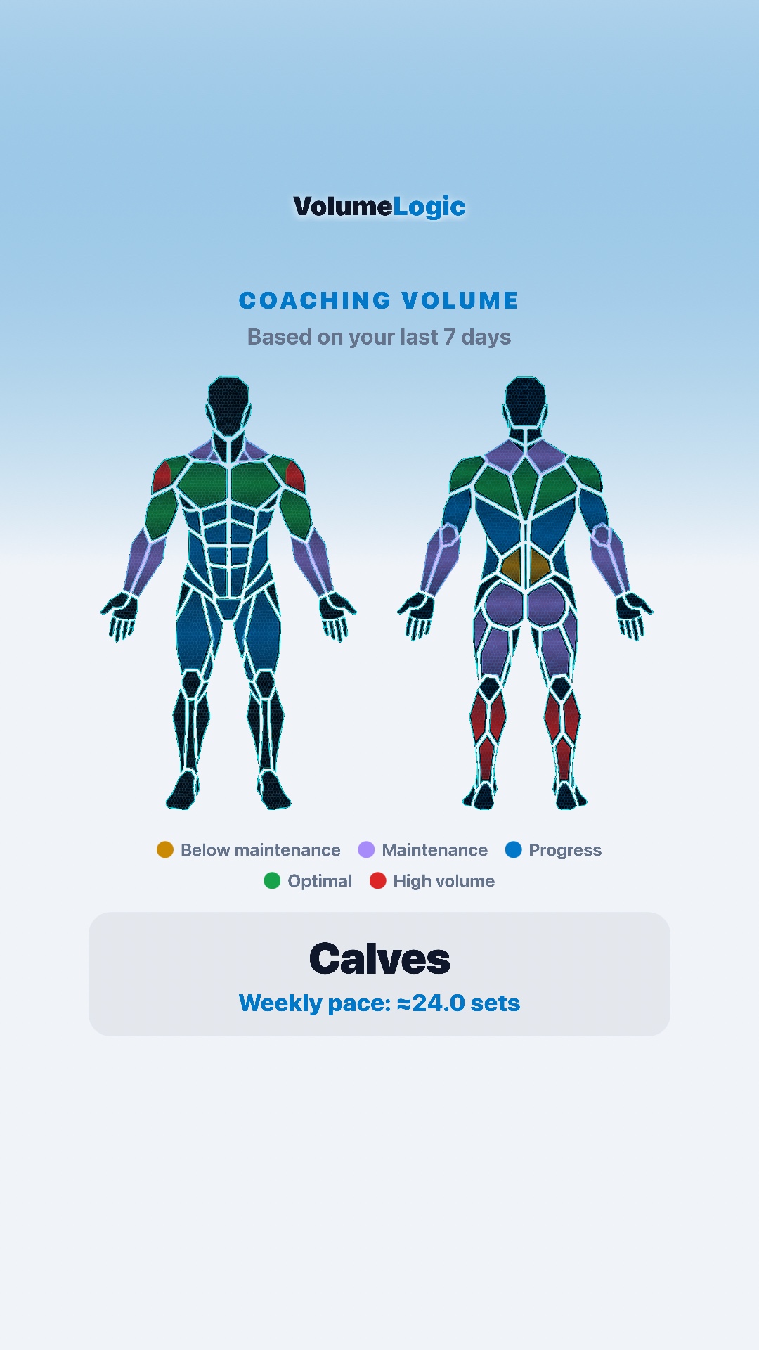Bright fitzap workout coaching volume share card with muscle maps