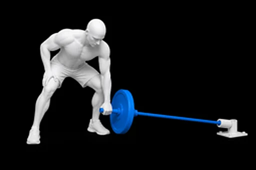 Barbell Meadows Row exercise illustration showing the movement position