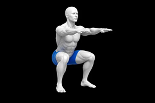 Bodyweight Squat exercise illustration showing the movement position