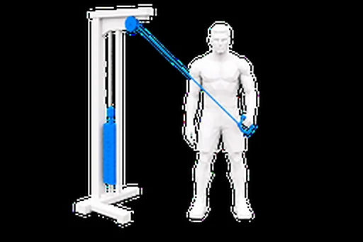 Cable Cross-Body Triceps Extension exercise illustration showing the movement position