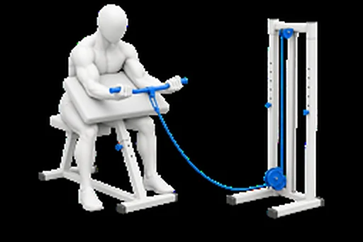 Cable Preacher Curl exercise illustration showing the movement position