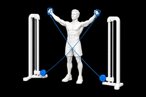 Cable Y-Raise exercise illustration showing the movement position