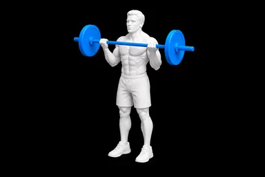 Barbell Biceps Curl exercise illustration