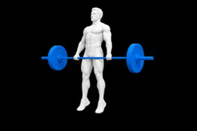 Barbell Clean Pull exercise illustration