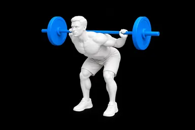 Barbell Good Morning exercise illustration