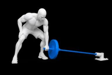 Barbell Meadows Row exercise illustration
