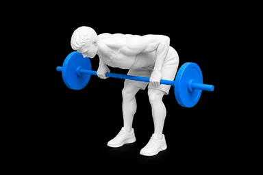 Barbell Pendlay Row exercise illustration