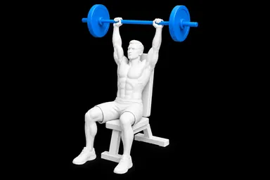 Barbell Seated Overhead Press exercise illustration