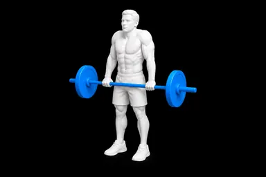 Barbell Shrugs exercise illustration