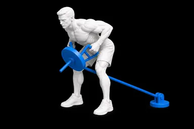 Barbell T-Bar Row exercise illustration