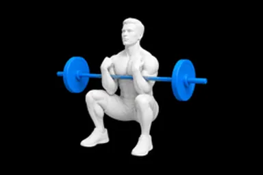 Barbell Zercher Squat exercise illustration