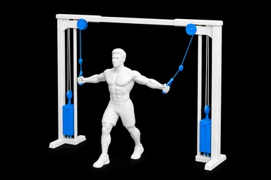 Cable Chest Fly exercise illustration