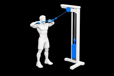 Cable Face Pulls exercise illustration