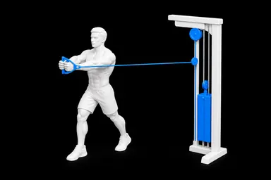Cable Pallof Press exercise illustration