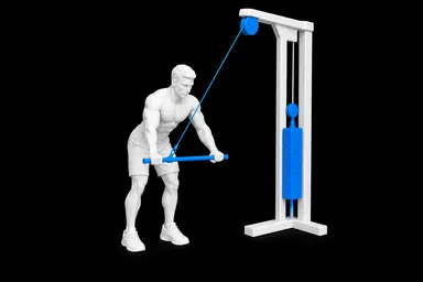 Cable Pullover exercise illustration