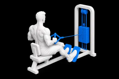 Cable Seated Row exercise illustration