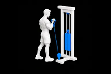 Cable Single-Arm Biceps Curl exercise illustration