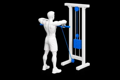 Cable Upright Row exercise illustration