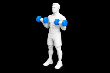 Dumbbell Biceps Curl exercise illustration