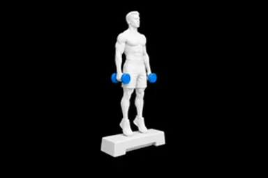 Dumbbell Calf Raise exercise illustration