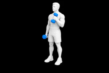 Dumbbell Cross-Body Hammer Curl exercise illustration