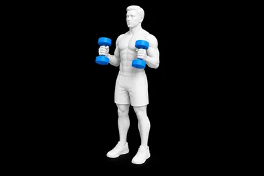 Dumbbell Hammer Curl exercise illustration