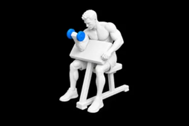 Dumbbell Preacher Curl exercise illustration