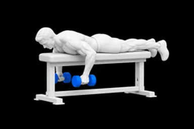 Dumbbell Prone Seal Row exercise illustration
