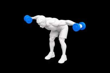 Dumbbell Rear Delt Fly exercise illustration