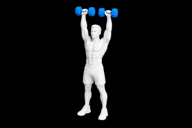 Dumbbell Shoulder Press exercise illustration