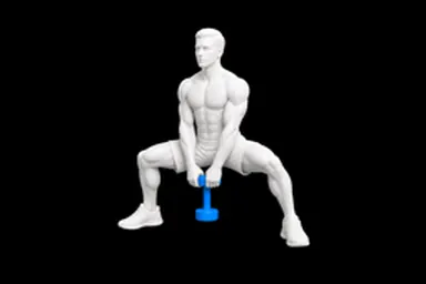 Dumbbell Sumo Squat exercise illustration