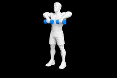 Dumbbell Upright Row exercise illustration