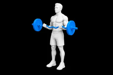 EZ-Bar Biceps Curl exercise illustration