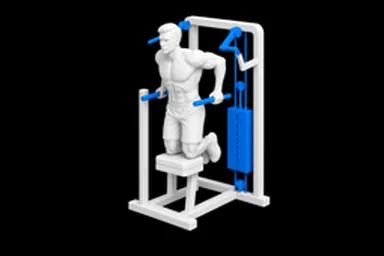 Machine Assisted Dip exercise illustration