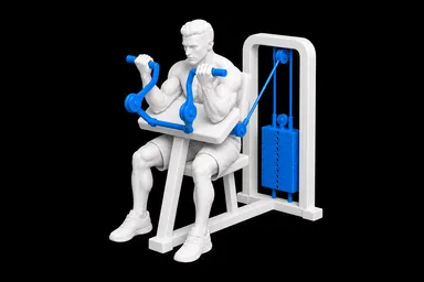 Machine Biceps Curl exercise illustration