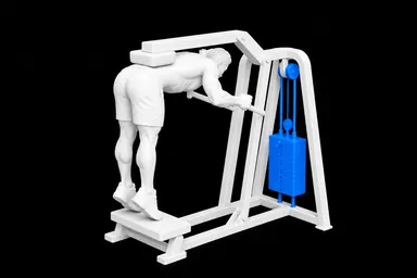Machine Donkey Calf Raise exercise illustration