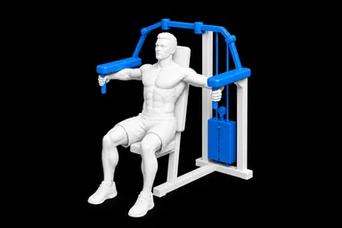 Machine Lateral Raise exercise illustration