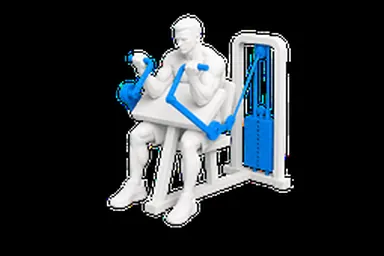 Machine Preacher Curl exercise illustration