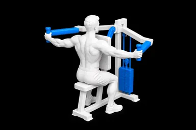 Machine Rear Delt Fly exercise illustration