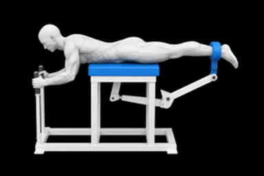 Machine Reverse Hyperextension exercise illustration