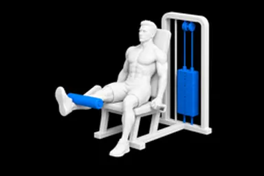 Machine Single-Leg Leg Extension exercise illustration