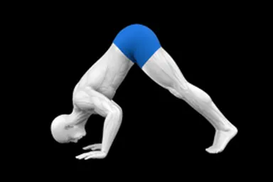 Pike Push-up exercise illustration