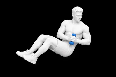 Russian Twist exercise illustration
