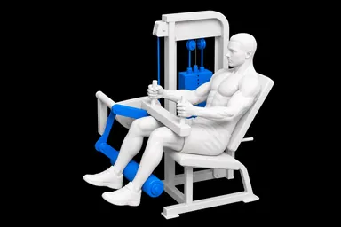Seated Machine Leg Curl exercise illustration