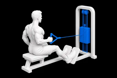 Single-Arm Cable Row exercise illustration