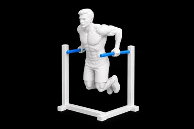 Triceps Dips exercise illustration