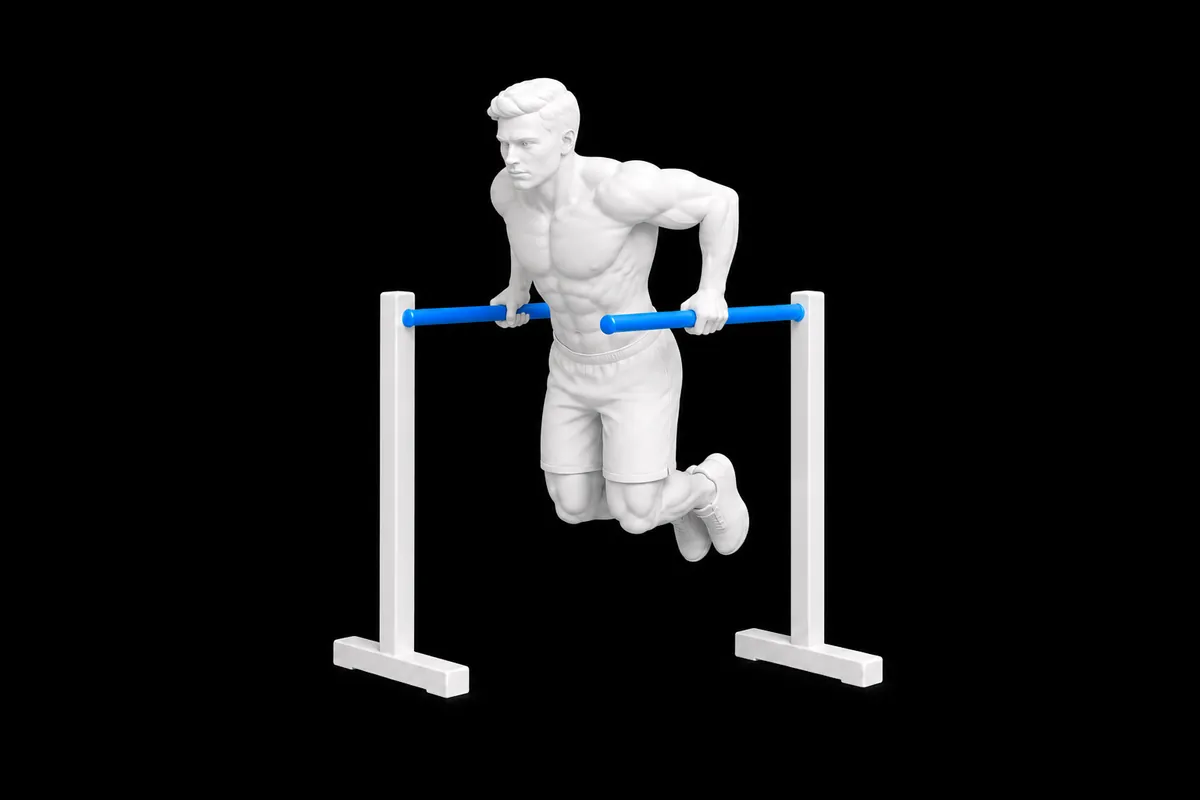 Chest Dips exercise illustration showing the movement position