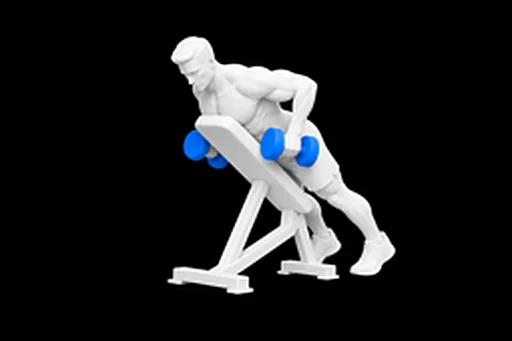 Dumbbell Chest-Supported Row exercise illustration showing the movement position
