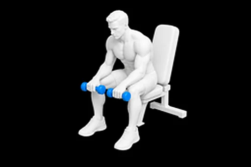 Dumbbell Reverse Wrist Curl exercise illustration showing the movement position