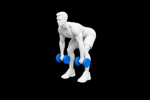 Dumbbell Romanian Deadlift exercise illustration showing the movement position